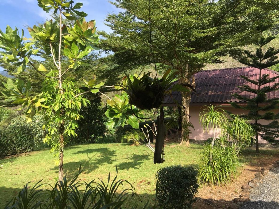 Khao Sok Hill Top Resort Khao Sok National Park エクステリア 写真