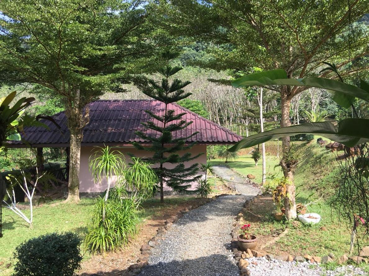 Khao Sok Hill Top Resort Khao Sok National Park エクステリア 写真