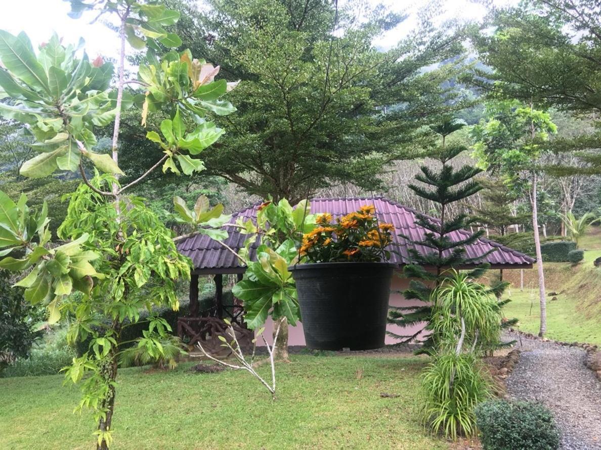 Khao Sok Hill Top Resort Khao Sok National Park エクステリア 写真