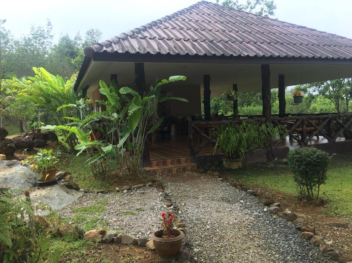 Khao Sok Hill Top Resort Khao Sok National Park エクステリア 写真